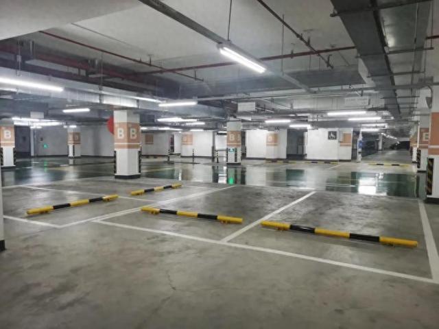 踏青季租车热(图1)