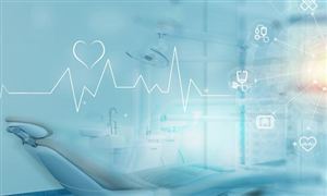 2024汽车租赁行业现状：北京租车需求持续攀升国产车受青睐(图6)