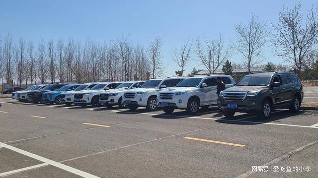十一自驾出游租什么车？首选油混、其次增程千万不要选纯电(图1)