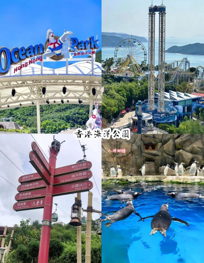 带父母来港澳5天港澳详细游玩攻略香门圆父母的旅游梦！(图4)