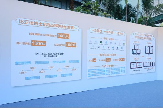 比亚迪2024年全球销量三冠王彰显新能源汽车领军实力(图2)
