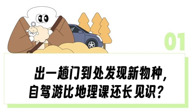 九游娱乐文化：围观牦牛打架、路上捡玛瑙打工人国庆自驾去新疆兴奋得像个“城巴佬”(图1)