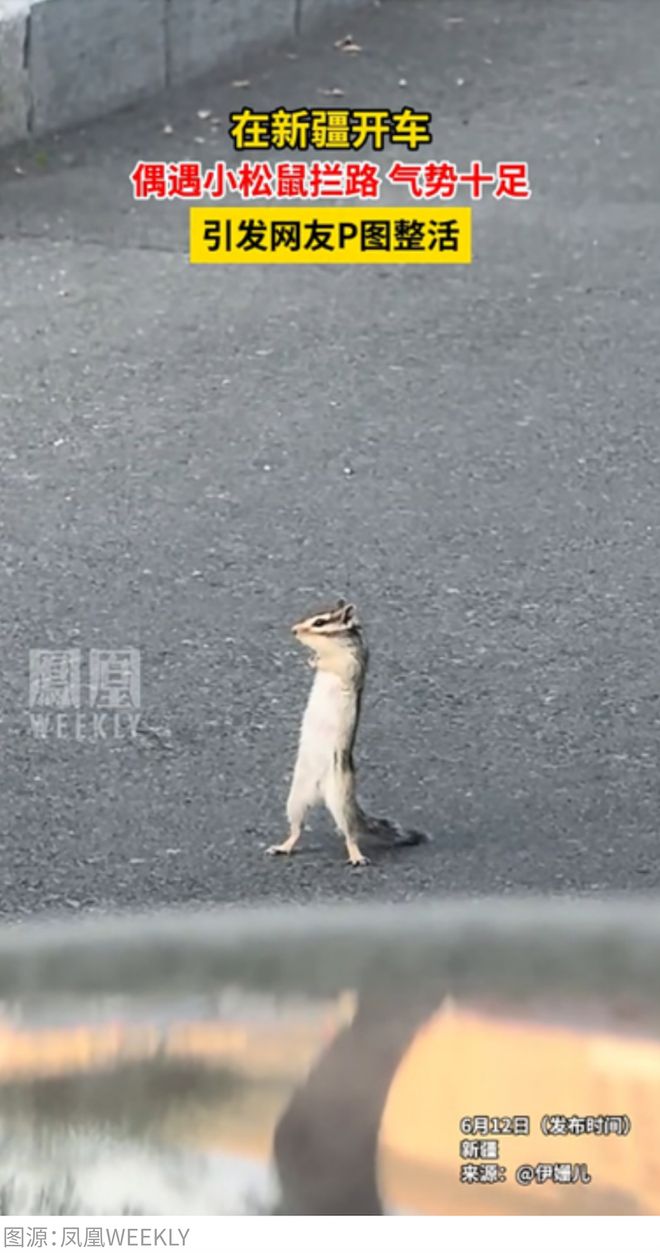 九游娱乐文化：围观牦牛打架、路上捡玛瑙打工人国庆自驾去新疆兴奋得像个“城巴佬”(图2)