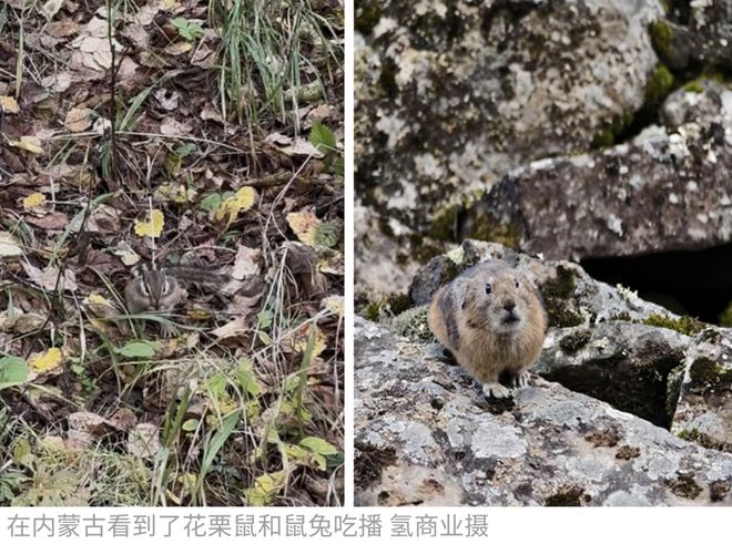 九游娱乐文化：围观牦牛打架、路上捡玛瑙打工人国庆自驾去新疆兴奋得像个“城巴佬”(图5)