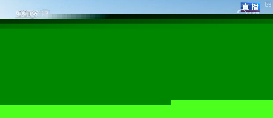 九游娱乐文化：自驾、顺风车、租车多元化！充电上“新”“续航”春运绿色出行(图4)