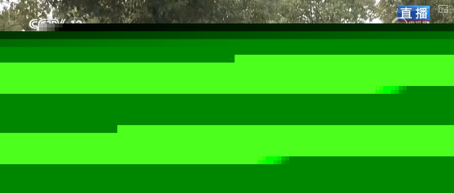 九游娱乐文化：自驾、顺风车、租车多元化！充电上“新”“续航”春运绿色出行(图5)