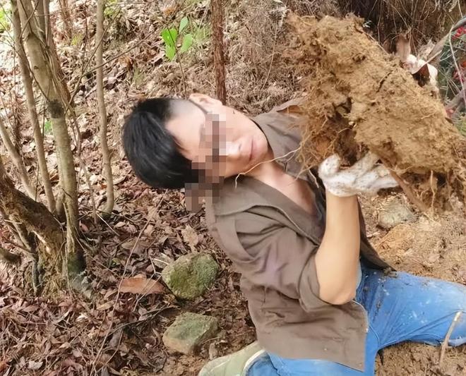 1棵都不行!2024年云南青年租车上山采“倒钩刺”被当场堵获(图4)